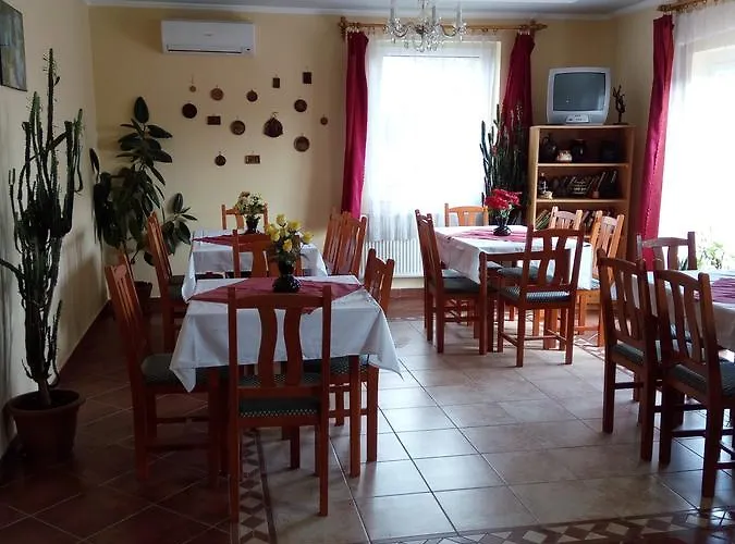 Vivien Panzio * זלאגרסג