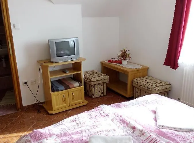 Vivien Panzio * זלאגרסג